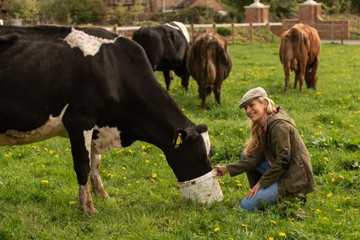 Нейроагро: работа с мозгом коров может стать новым этапом эволюции животноводства Нейроагро: работа с мозгом коров может стать новым этапом эволюции животноводства