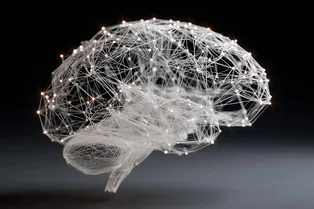 Интеллект возникает, когда весь мозг работает как единое целое