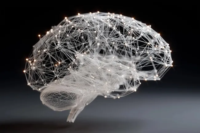 Интеллект возникает, когда весь мозг работает как единое целое