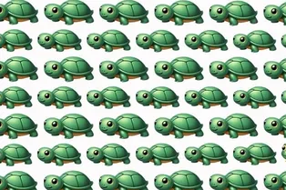 Визуальный тест на 4 секунды: найдите лягушку среди черепах