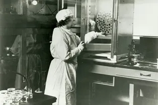 Угадайте гения: мужское или женское изобретение? Угадайте гения: мужское или женское изобретение?