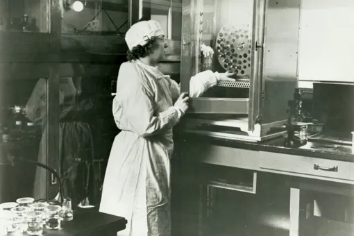 Угадайте гения: мужское или женское изобретение? Угадайте гения: мужское или женское изобретение?