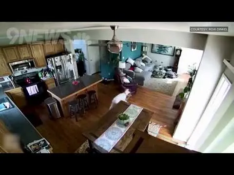 Нажми и смотри Нажми и смотри