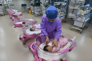 Почему в Китае падает рождаемость — новые данные и интересные факты