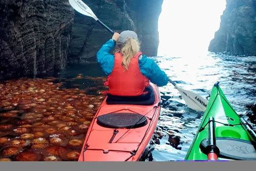 А вы бы отправились на такую прогулку?