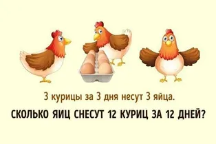 Детская задача на логику, которую проваливают многие взрослые: а вы сможете верно посчитать, сколько яиц снесут курицы?