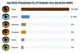 Какой цвет глаз самый редкий на планете: инфографика Какой цвет глаз самый редкий на планете: инфографика