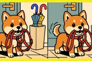 Собака с поводком: сможете найти отличия между картинами? Собака с поводком: сможете найти отличия между картинами?