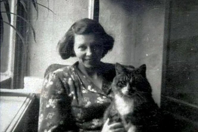 Он прошел через 872 дня блокады Ленинграда и выжил: удивительная история кота Максима