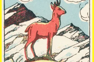 Оптическая иллюзия из старой книжки: найдите охотника за 20 секунд Оптическая иллюзия из старой книжки: найдите охотника за 20 секунд