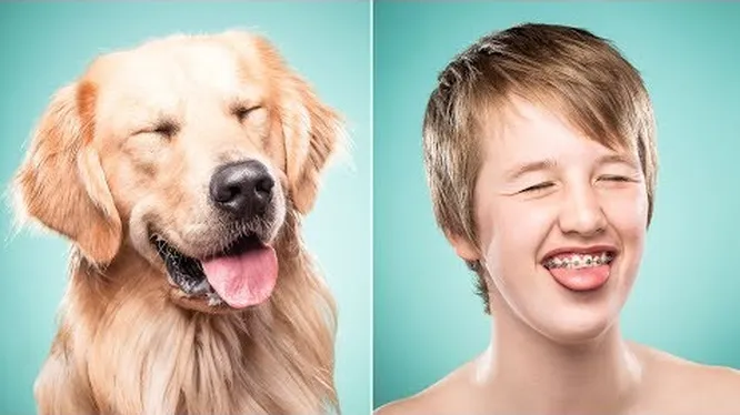 Нажми и смотри