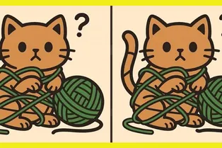 Кот запутался в клубке: сможете найти отличия между рисунками?