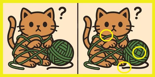 Ответ на поиск отличий с котиком Ответ на поиск отличий с котиком