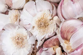 Ученые хотят создать новую жидкость для полоскания рта из чеснока