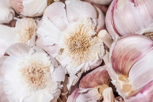 Ученые хотят создать новую жидкость для полоскания рта из чеснока
