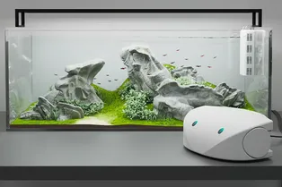 Забываете менять воду в аквариуме? Это устройство спасет ваших рыбок Забываете менять воду в аквариуме? Это устройство спасет ваших рыбок