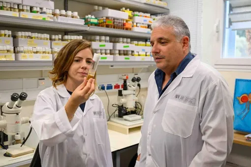 Соавторы работы доктор Цлиль Браун (слева) и профессор Эли Арама. Институт Вейцмана