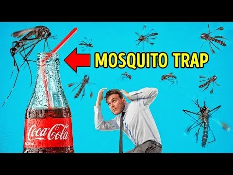 Нажми и смотри