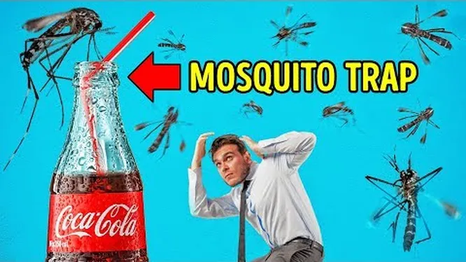 Нажми и смотри