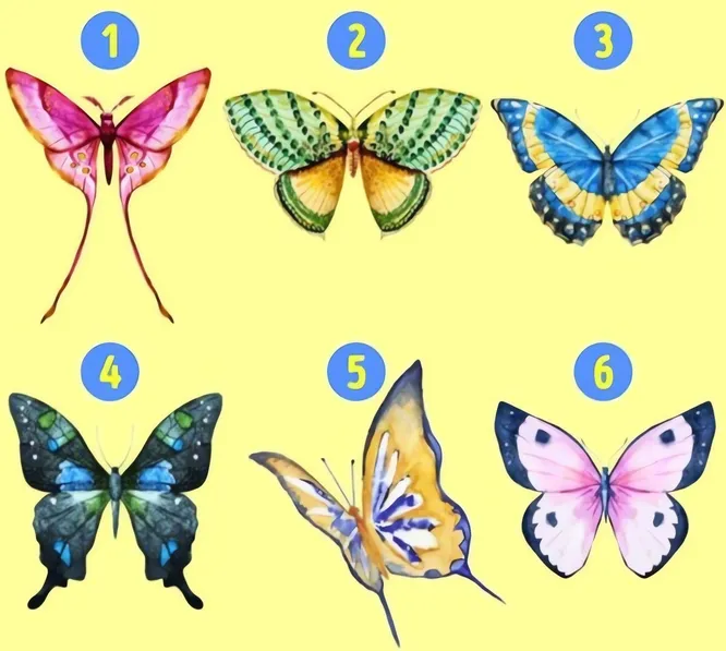 Выберите одну!