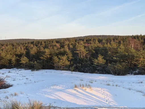 Куршская коса