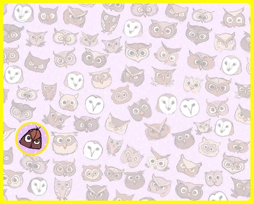 Ответ на головоломку