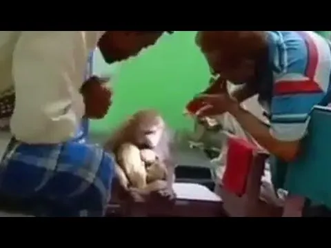 Нажми и смотри Нажми и смотри