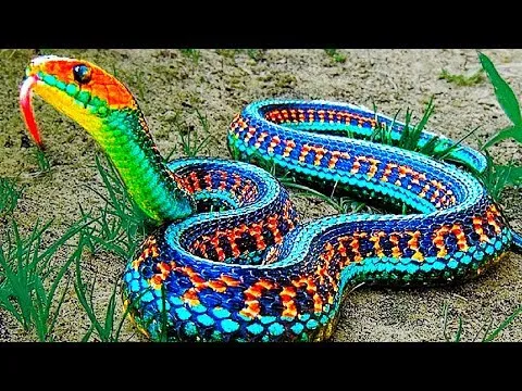 Нажми и смотри Нажми и смотри