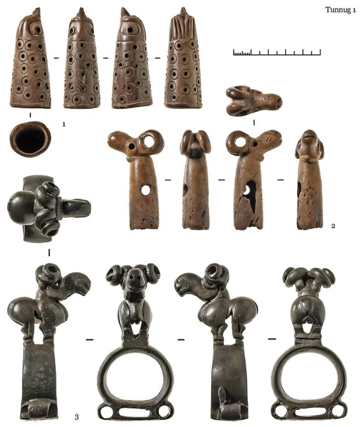 1) костный навершие от захоронения в гробу; 2) костный навершие из смешанного контекста в деревянной камере; 3) бронзовый навершие из кластера 4. Артефакты яйцекладов