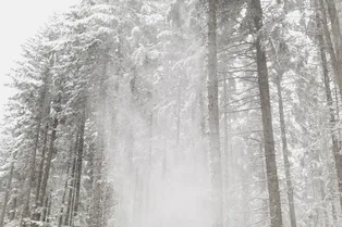 «А снег идет»: самые сильные снегопады в истории «А снег идет»: самые сильные снегопады в истории