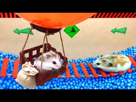 Нажми и смотри Нажми и смотри