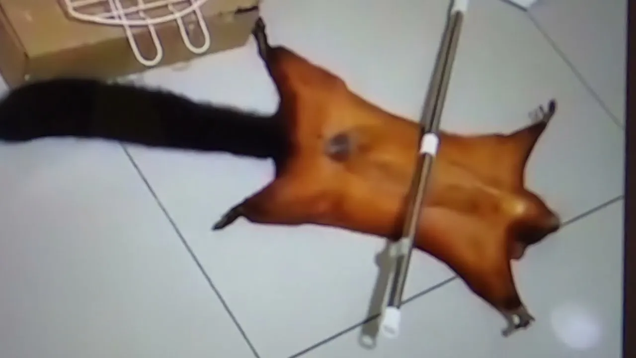 Нажми и смотри