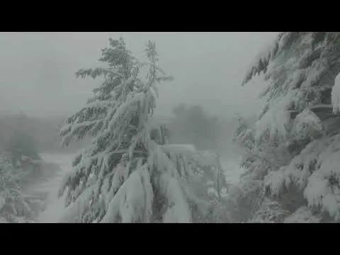 Нажми и смотри
