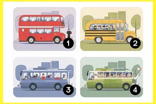 Определите тип своего интеллекта, выбрав один из четырех автобусов: психологический тест для самопознания