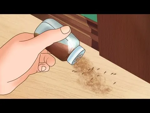 Нажми и смотри Нажми и смотри