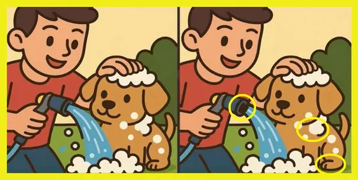 Ответ на головоломку