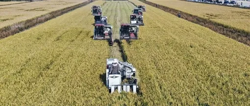 Люди и машины существуют в едином технологическом симбиозе. Люди и машины существуют в едином технологическом симбиозе.