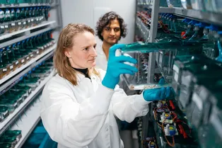 Можно ли узнать, сколько ты проживешь? Рыбы «дали» подсказку