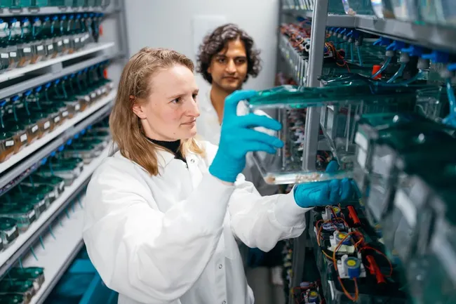 Можно ли узнать, сколько ты проживешь? Рыбы «дали» подсказку