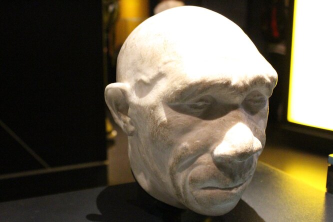 Homo heidelbergensis Homo heidelbergensis