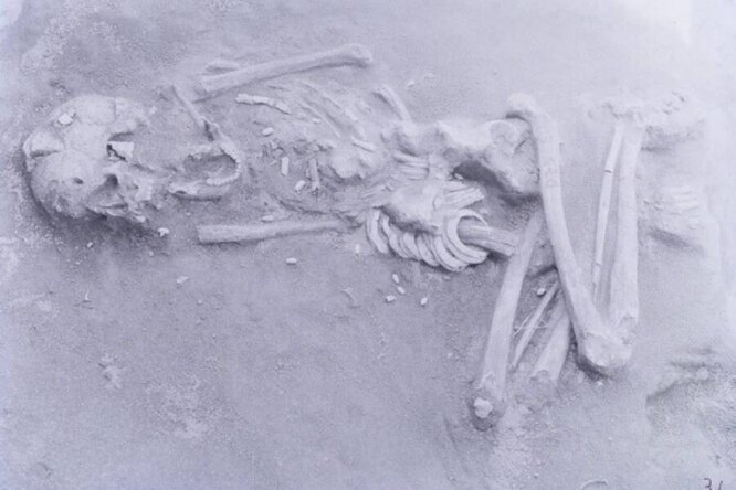 Japonya'nın eski Hirota halkı, 1800 yıl önce çocukların kafataslarını kasıtlı olarak deforme etti.