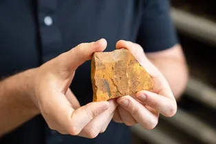 Жил 151 млн лет назад! Любитель раскопок нашел ранее неизвестный вид насекомых