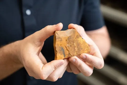 Жил 151 млн лет назад! Любитель раскопок нашел ранее неизвестный вид насекомых Жил 151 млн лет назад! Любитель раскопок нашел ранее неизвестный вид насекомых