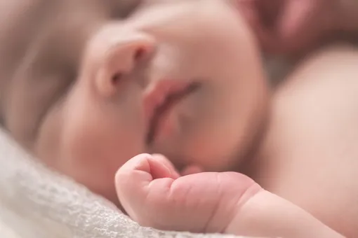 Когда новорожденный открывает глаза, его мозг только учится видеть Когда новорожденный открывает глаза, его мозг только учится видеть