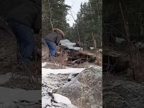 Нажми и смотри
