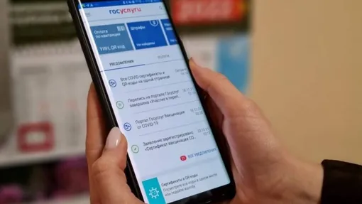 приложение госуслуги
