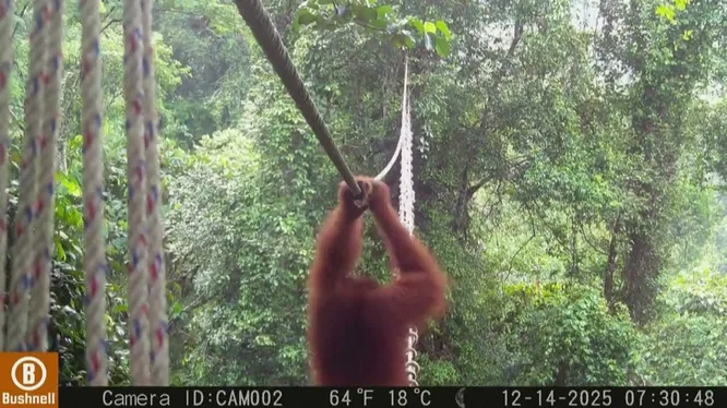 Нажми и смотри