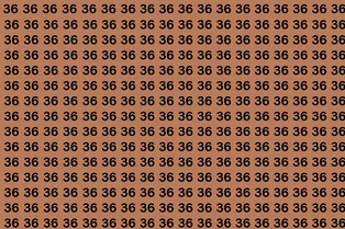 Картинка-головоломка: поставьте таймер на 8 секунд и попробуйте найти число 63