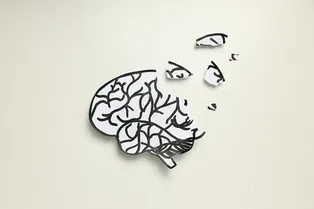 Ученые выяснили, как мозг выбирает, какие события нужно запомнить, а какие — вычеркнуть из памяти