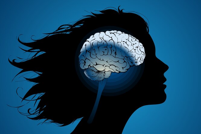 Что такое IQ тесты и насколько они достоверны Что такое IQ тесты и насколько они достоверны